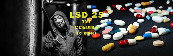 дживик Бородино