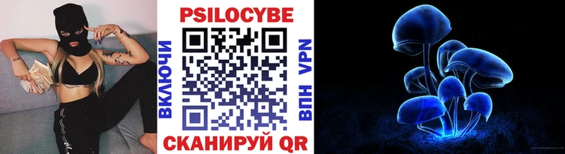 купить наркотики сайты  Выборг  Галлюциногенные грибы MAGIC MUSHROOMS 