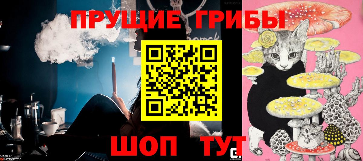 Галлюциногенные грибы мухоморы  Вход с VPN  Выборг  Псилоцибиновые грибы мицелий 