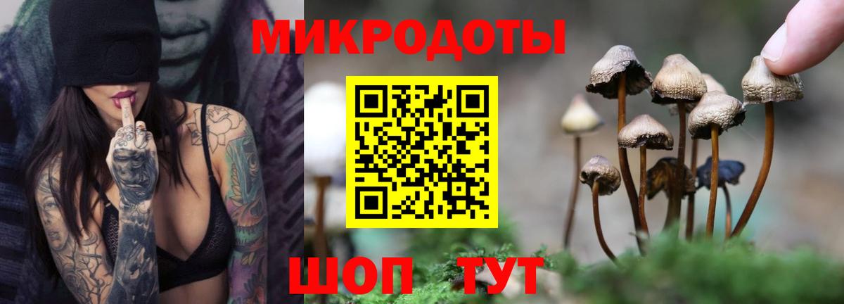  Cocaine Выборг