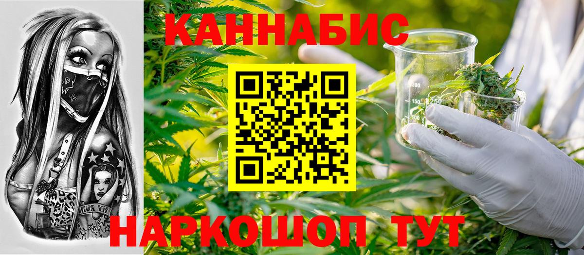 Каннабис SATIVA & INDICA  Марихуана сатива  Вход с VPN  Бошки Шишки LSD WEED  Конопля сатива  Выборг 